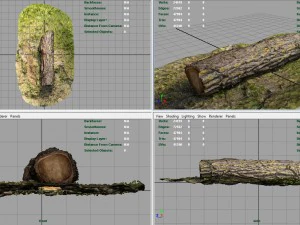 dead trunk 6 3D Model