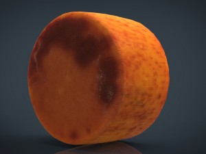 goat cheese Model 3D