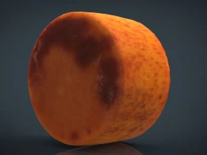 goat cheese 3D Model