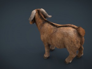 domestic goat 3D Модель