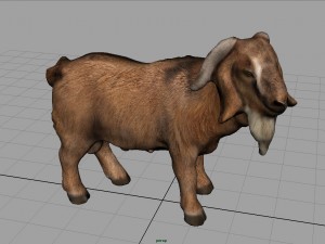 domestic goat 3D Модель