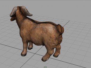 domestic goat 3D Модель