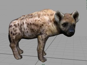 hiena realista Modelo 3D