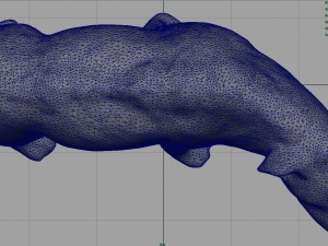 realistic hyena 3D Model