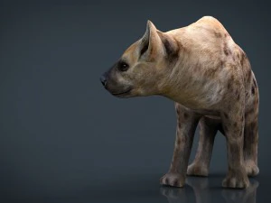 hiena realista Modelo 3D