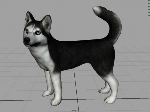 siberian husky 3D 모델