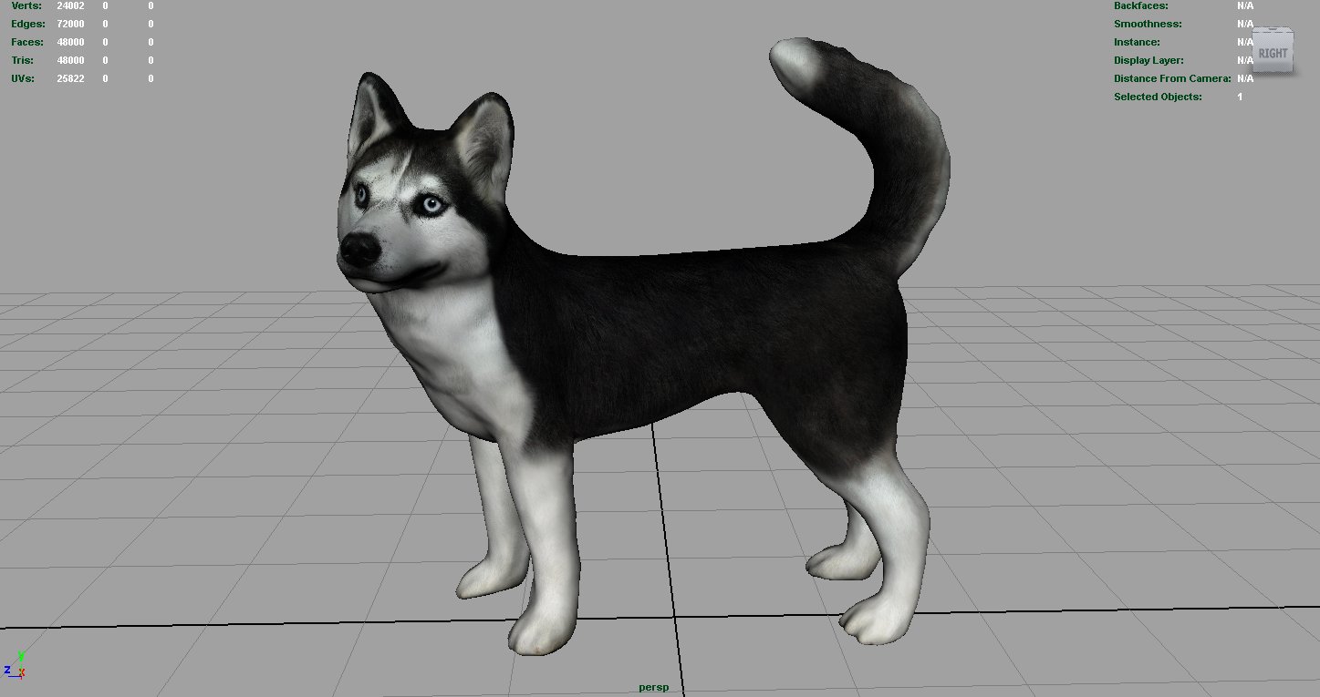 Siberian Husky 3d Model In Dog 3dexport