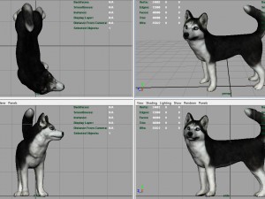 siberian husky 3D 모델