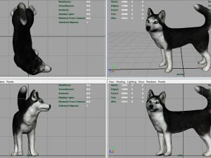 siberian husky 3D Model