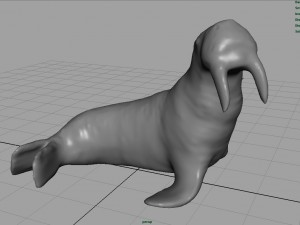 walrus 3Dモデル