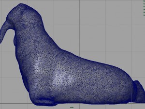 walrus 3Dモデル