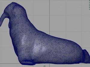 walrus 3D Model