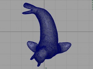 walrus 3Dモデル