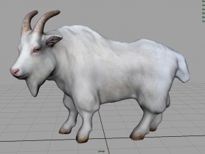 white goat 3D 模型