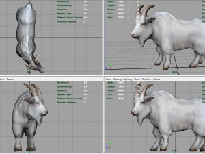 white goat 3D 模型