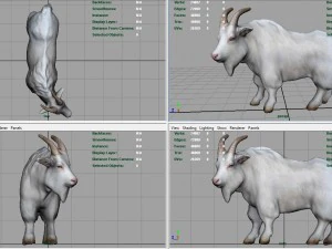 white goat 3D Model