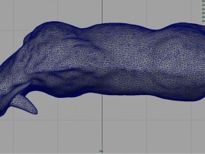 white goat 3D 模型