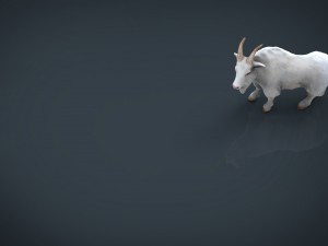 white goat 3D 模型