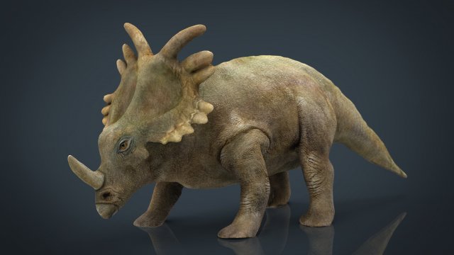 triceratops 3D Model .c4d .max .obj .3ds .fbx .stl .blend 