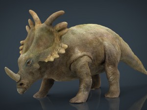 triceratops 3Dモデル
