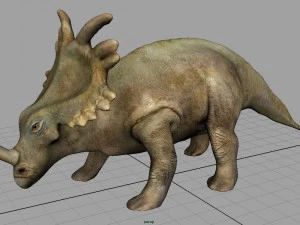 triceratops 3D Model