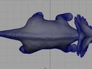 triceratops 3D Model