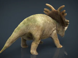 triceratops 3D Model