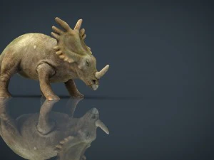 triceratops 3D Model
