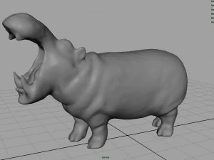 african hippopotamus 3D Model