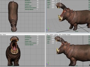 african hippopotamus Model 3D