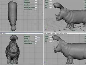 african hippopotamus 3D Model