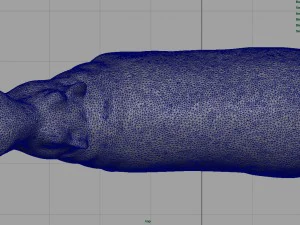 african hippopotamus 3D Model