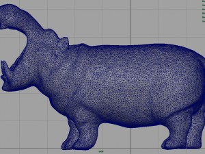 african hippopotamus Model 3D