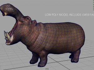 african hippopotamus 3D Model