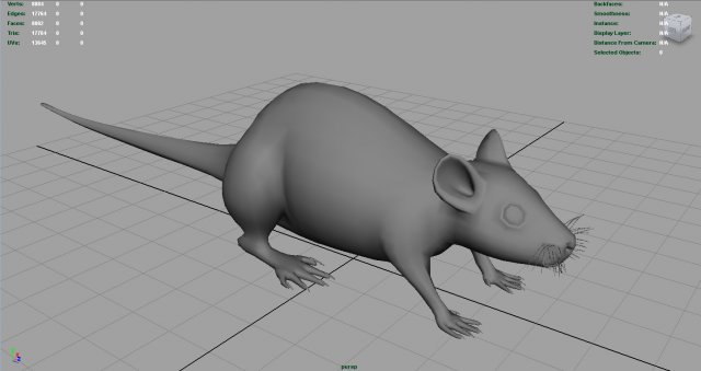 rat 3D Model in Rodent 3DExport