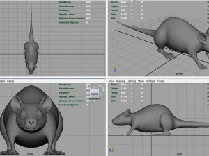 rat 3D Model