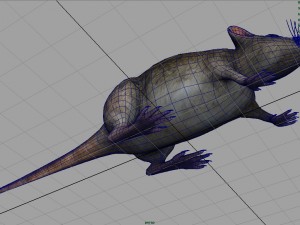 rat Modèle 3D