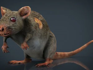 radiactive rat 3D Model