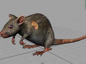 radiactive rat Modèle 3D
