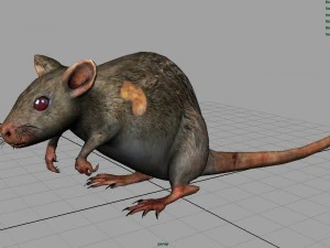 radiactive rat 3D Model