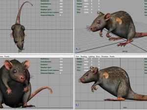radiactive rat Modèle 3D