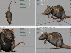 radiactive rat 3D Model