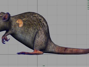 radiactive rat 3D Model