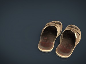 flips flops 3D 模型
