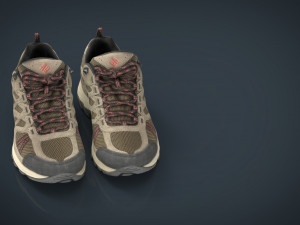 hiking shoes 3D Модель