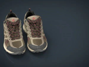 hiking shoes 3D Model