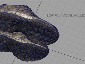 hiking shoes 3D Модель