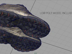 hiking shoes 3D Model