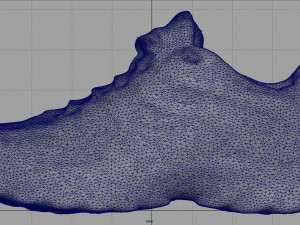 hiking shoes 3D Модель