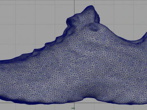 hiking shoes 3D Model